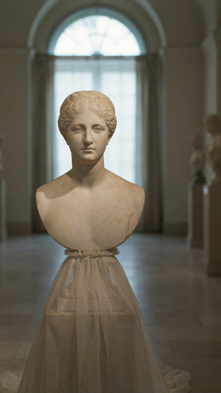 A classical marble bust has a flowing tulle skirt draped around its base.