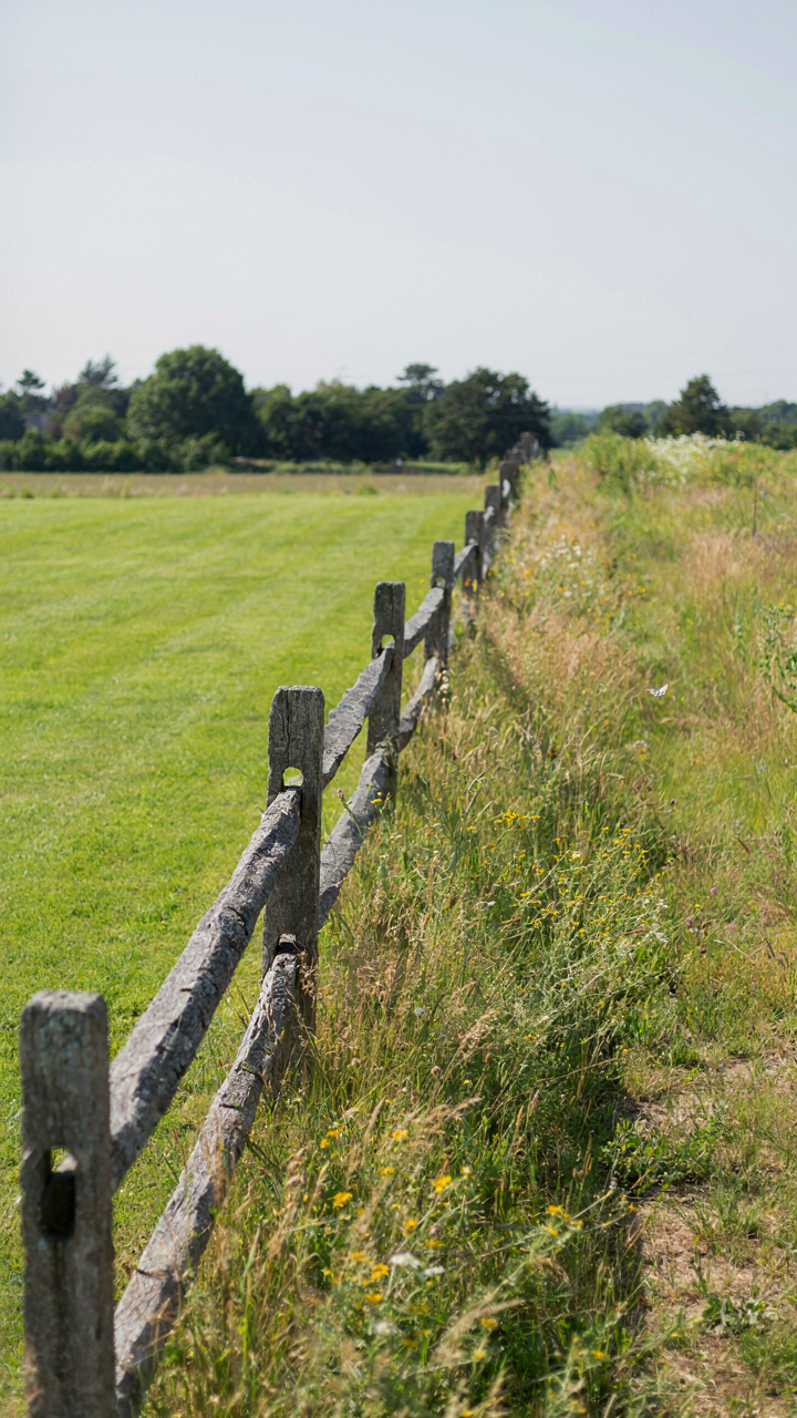 A fence clearly separating a manicured lawn from an unkempt field.