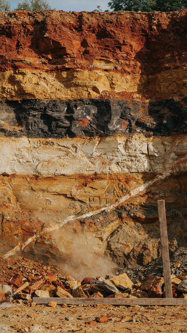 Layered rock strata in an excavated earth wall show texture and depth.