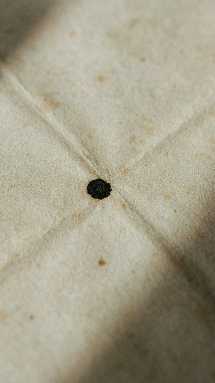 Perfectly placed period at the end of a short calligraphy sentence.
