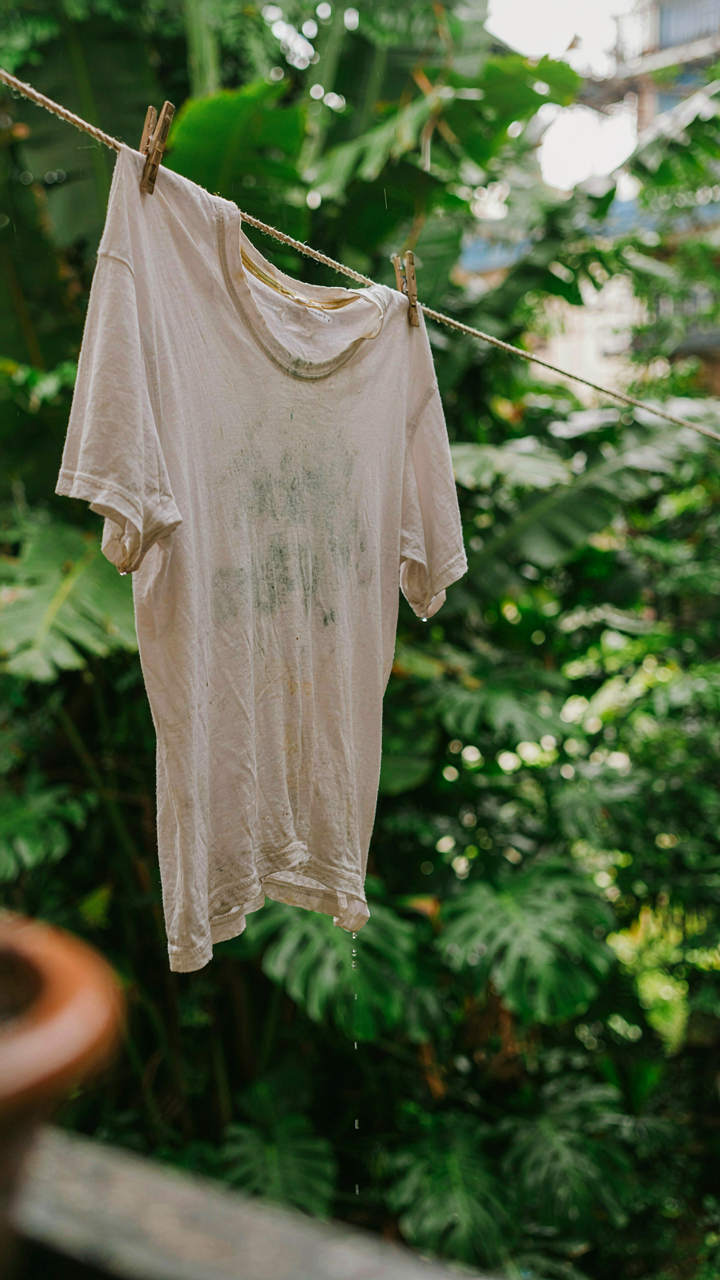 A damp, mildewed t-shirt hanging on a line in a tropical climate.