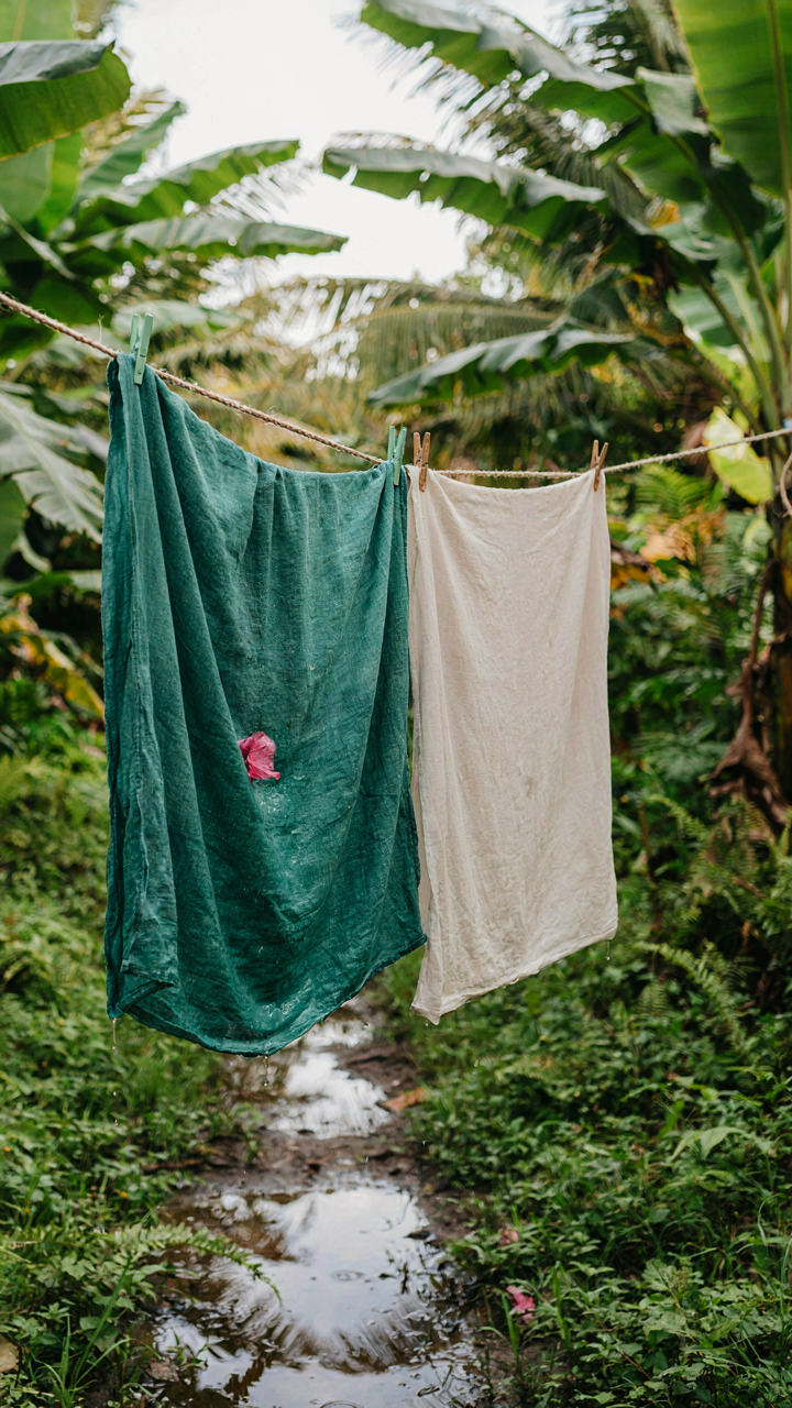 Wet linen and dry cotton fabrics hang on a line in a humid tropical setting.